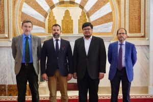 Read more about the article Visita a la Gran Mezquita de Granada: